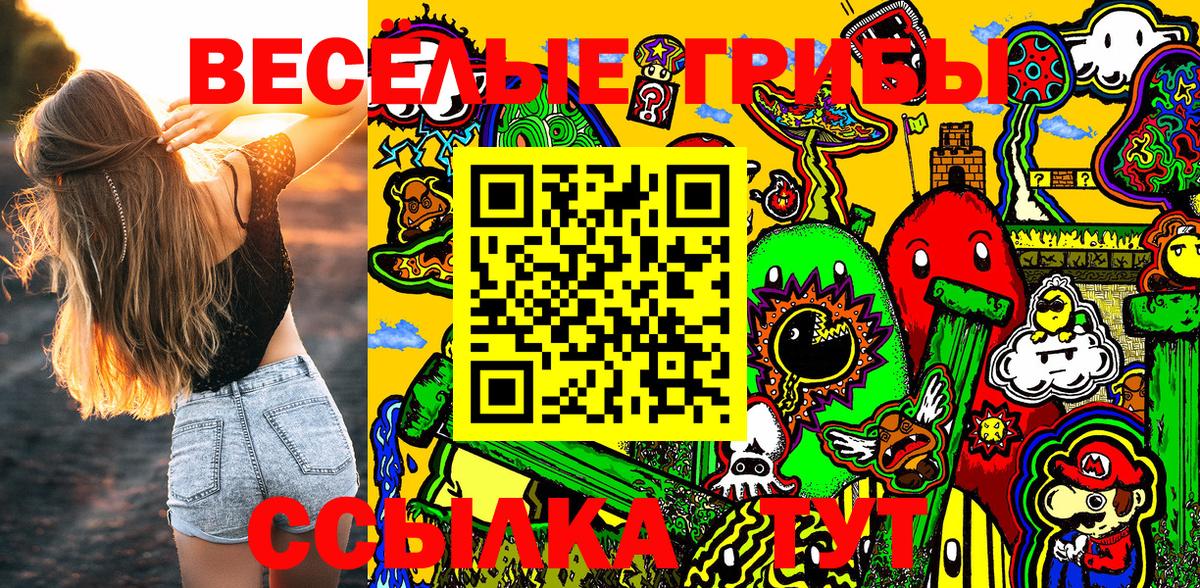 Псилоцибиновые грибы GOLDEN TEACHER Заречный