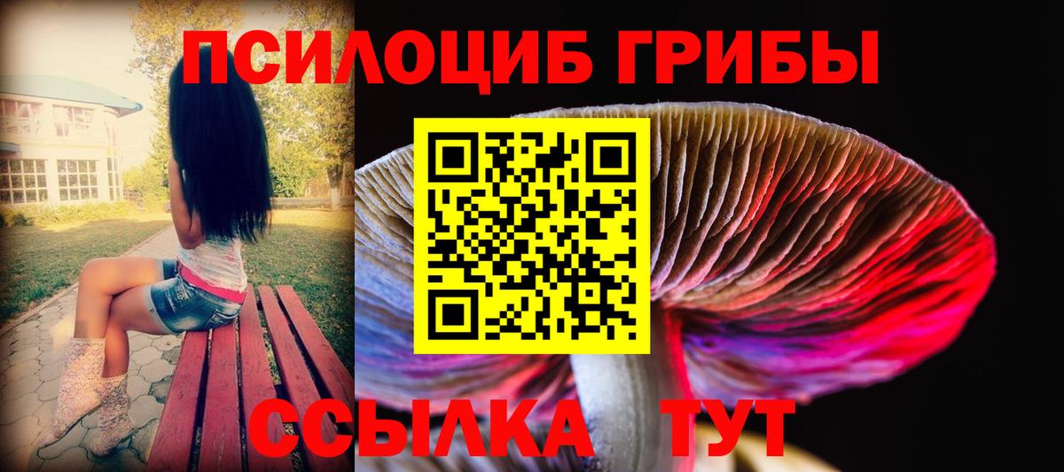Псилоцибиновые грибы Psilocybe  Вход с VPN  Галлюциногенные грибы ЛСД  Заречный 